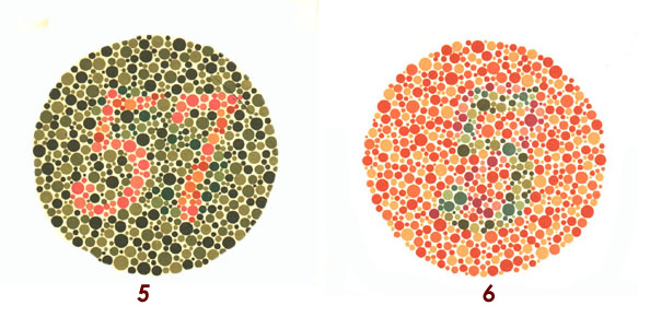 Risultati immagini per test daltonismo