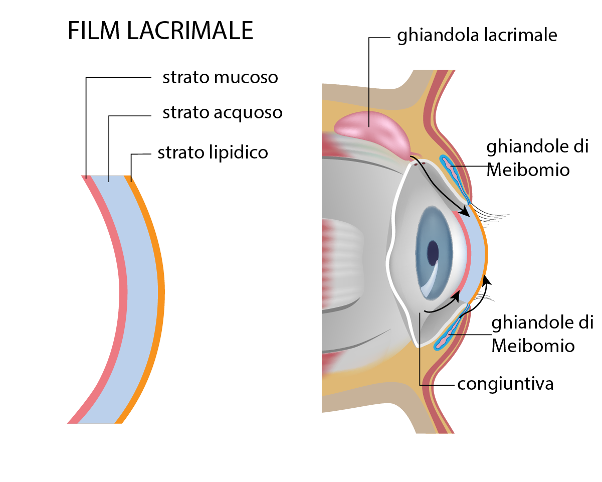 Intervento di congiuntivo-dacriocistorinostomia