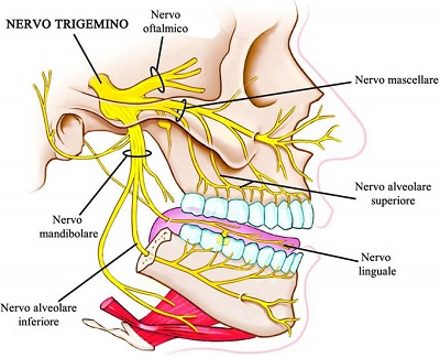 Portale di Oculistica - Patologie Oculari