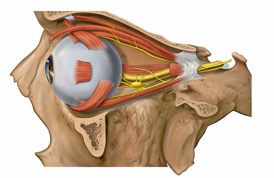 Il ganglio ciliare